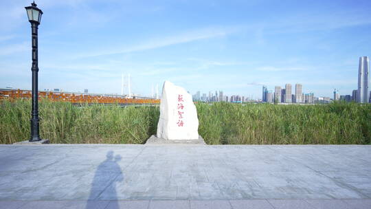 武汉江岸区汉口江滩风景视频素材模板下载