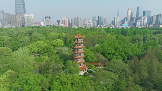 武汉解放公园步月塔视频素材模板下载