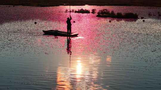 光影 小船剪影 划船 浮光跃金