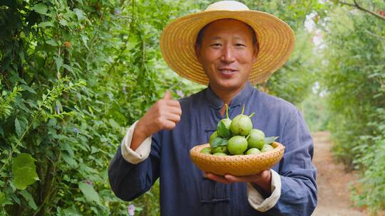 青皮嫩核桃