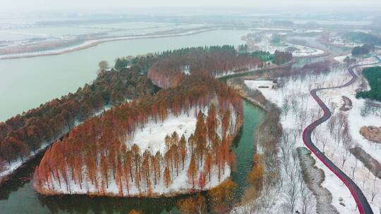 连云港硕项湖雪景0232视频素材模板下载