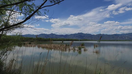 晴朗夏日北京野鸭湖公园