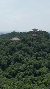 竖版航拍湖北鄂州西山风景区武昌楼