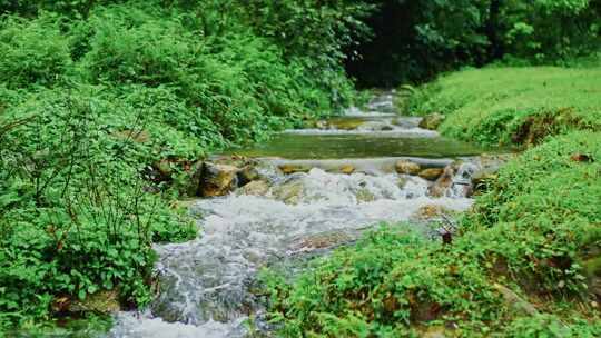 清澈干净小溪流水山泉水水资源