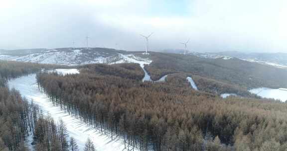 张家口崇礼雪山森林4k