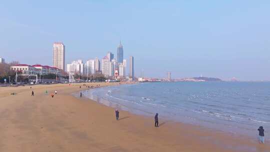 烟台滨海广场  海鸥 海边