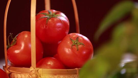 【镜头合集】夏季西红柿番茄
