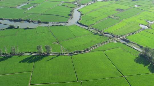 新农村乡村农民田野三农航拍
