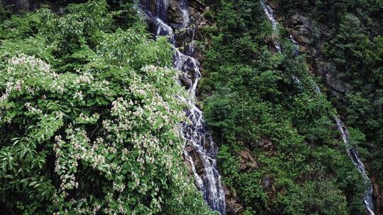 湖南株洲茶陵自然景区航拍视频