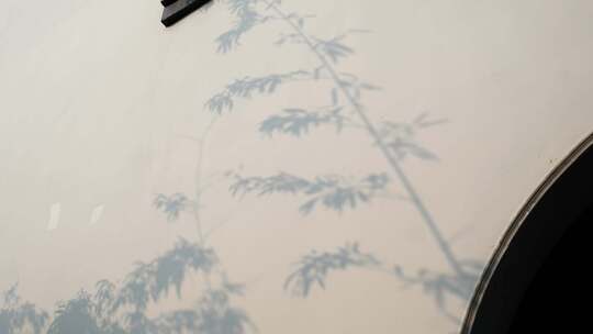中国传统中式园林建筑光影和白墙