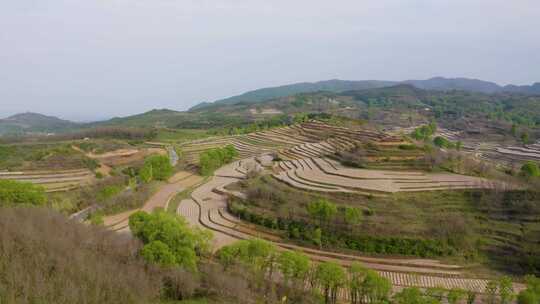 宝鸡梯田  汉封梯田