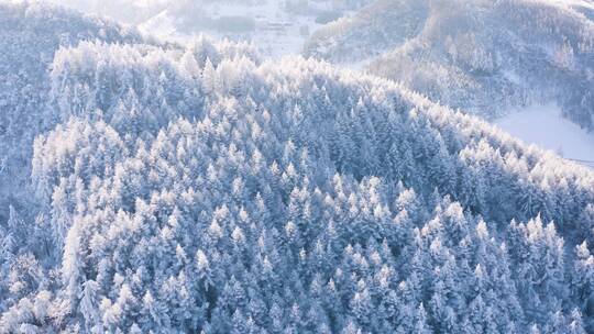 4k航拍恩施雪山雾凇风光