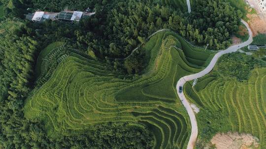 遂川梯田