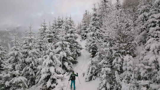 无人驾驶滑雪穿越白雪覆盖的森林