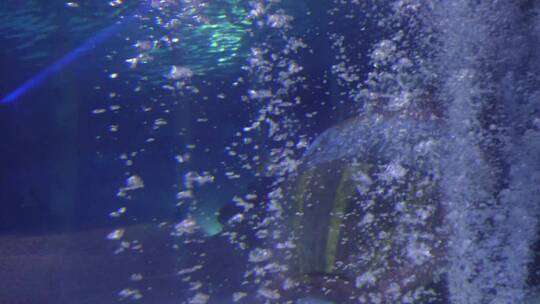 海底气泡水下世界海洋神秘