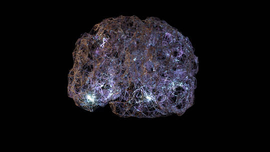医学 大脑 脑科学 三维 脑ct1 模型