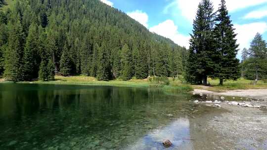 森林湖边绿色生态风景