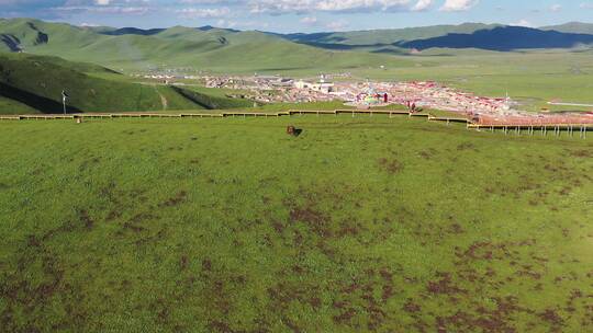 甘肃省甘南藏族自治州玛曲县阿万仓湿地航拍视频素材模板下载