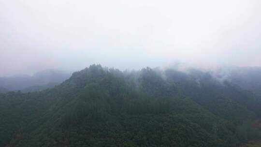 雾里穿云 大雾 水墨山水