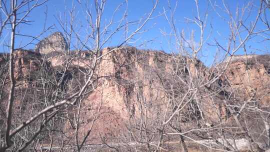 树 岩石上的树 美景 景色 石家庄 嶂石岩