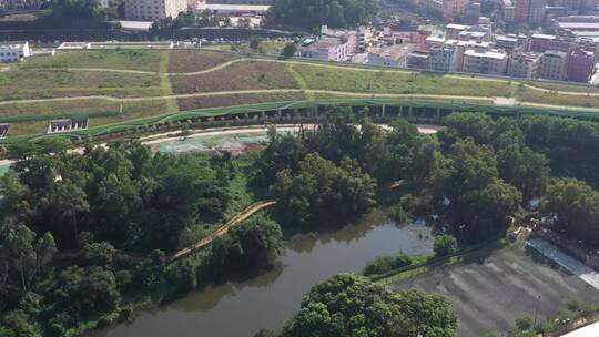 航拍深圳龙华区观澜城市绿化及建筑