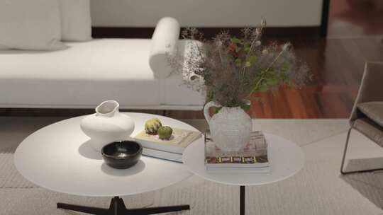 室内客厅茶几摆件特写