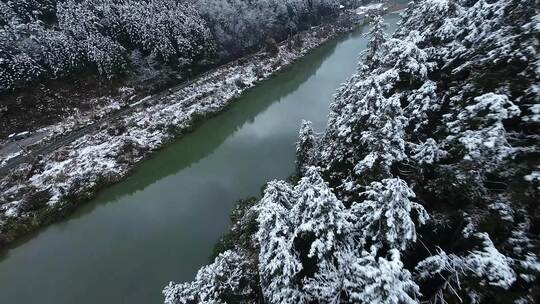 fpv穿越机航拍森林雾凇雪景溪流自然树林