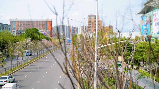 平湖城市道路空镜