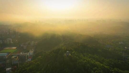 人间仙境，我试图追赶过你,山鸟与鱼不同路