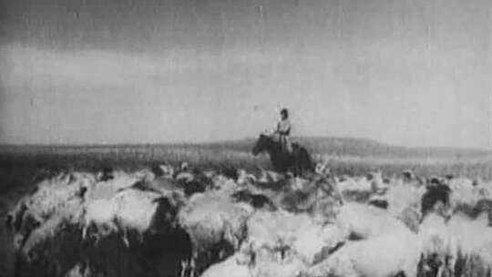 40年代 50年代内蒙古 草原 牧民视频素材模板下载