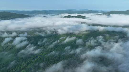 航拍辽阔青山森林云海