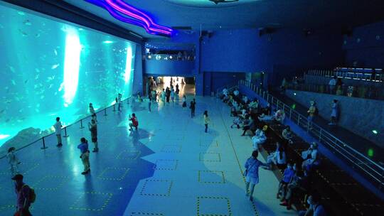 上海海昌海洋公园动物海洋馆游乐园4K素材