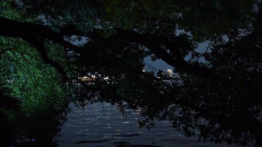 杭州西湖风景区夜景