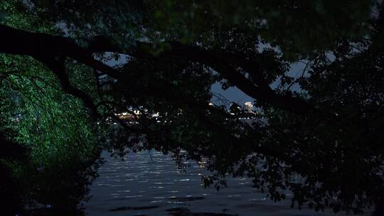 杭州西湖风景区夜景视频素材模板下载