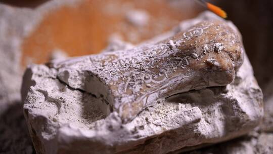 考古人员用刷子轻轻升格扫除文物上的灰土视频素材模板下载