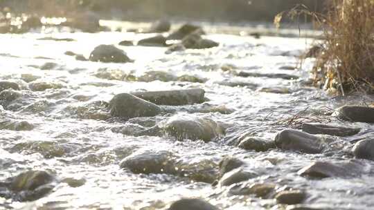 水 小溪 流动 河流 蜿蜒 清澈