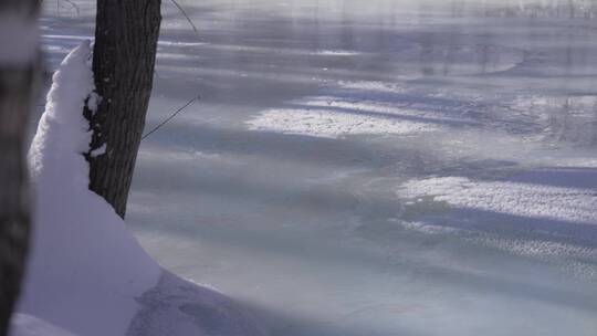 阿勒泰桦林公园雪景