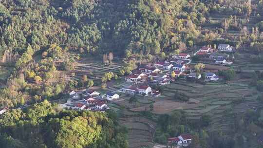 4K重庆航拍唯美黎坪森林公园风景区