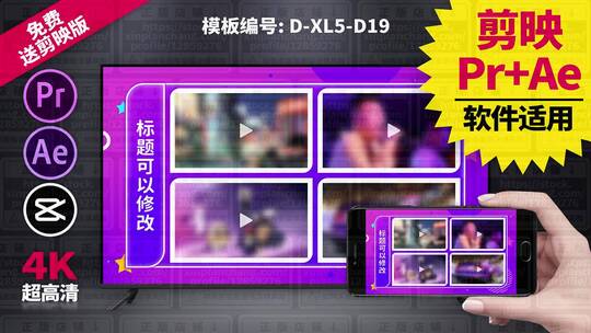 视频包装模板Pr+Ae+抖音剪映 D-XL5-D19