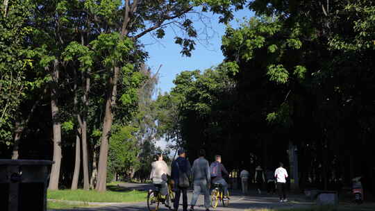 清晨森林骑行步行道跑步锻炼大理生态廊道