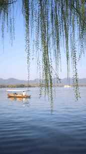 杭州西湖柳浪闻莺柳树小船