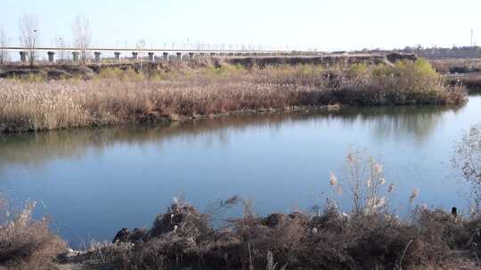 湿地 河流 河道 小溪 小河