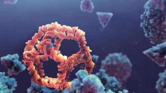 三维细胞分子结构微生物微观模型动画病毒视频素材模板下载