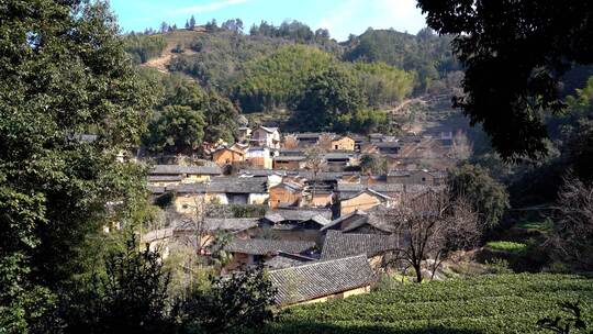 古村 杨家堂村 陈家铺村武夷山诸葛八卦村