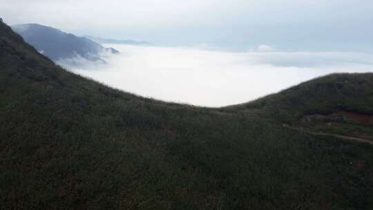 江西萍乡武功山山间草地云海景观航拍