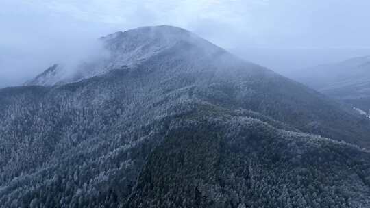 浙江丽水遂昌白马山森林公园4K云海雪景航拍