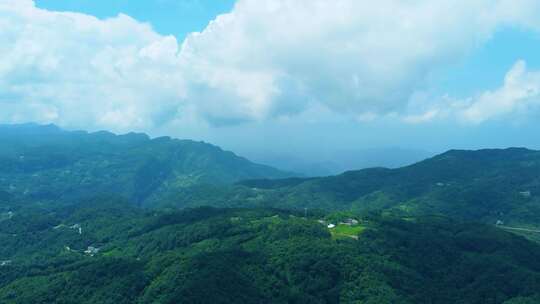 青山大地