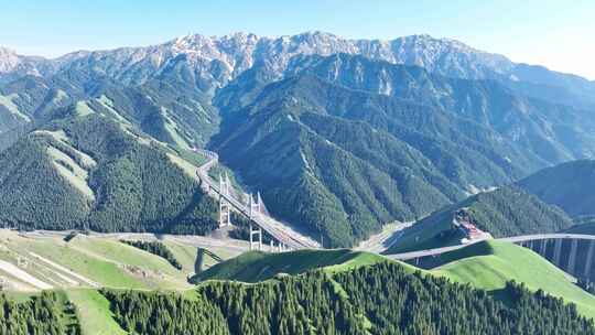 新疆 果子沟大桥 草原雪山 异域风景