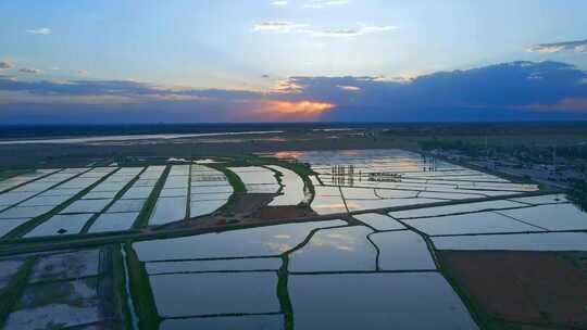 黄河稻田落日夕阳