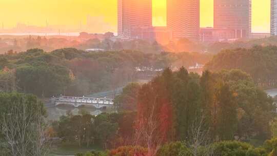 日出城市公园早晨风景